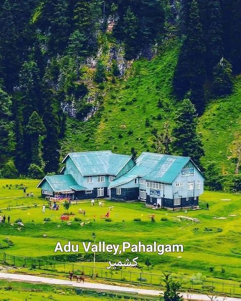 Aru Valley, Pahalgam Kashmir, Ab De Villiers Photo, Kashmir India, Jammu And Kashmir, The Himalayas, Himalayan, Amazing Nature, In Summer