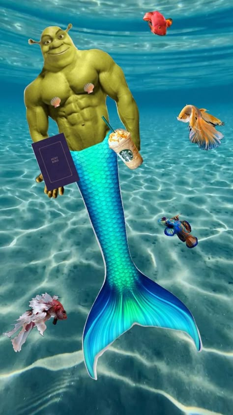 Mermaid Meme, Shrek Aesthetic Cute, Shrek Wedding, Shrek Funny, Shrek Memes, The Little Mermaid 2023, Little Mermaid 2023, Dora Funny, British Memes