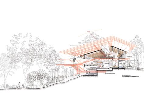 Sectional Perspective Architecture, Perspective Section Architecture, Section Perspective Architecture, Architecture Section Drawing, Section Perspective, Section Architecture, Perspective Section, Section Drawing Architecture, Woods House