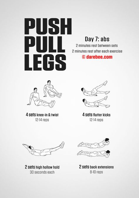 Push Pull Legs Workout, Push Pull Workout, Push Pull Legs, Back Extensions, Flutter Kicks, Legs Workout, Workout Guide, Leg Workout, Workout Challenge