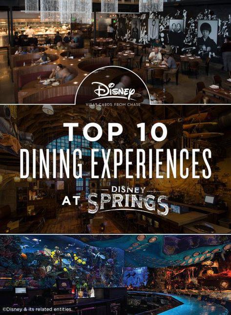 Disney Springs Restaurants, Restaurant Experience, Disney World Food, Disney Trip Planning, Disney Vacation Planning, Orlando Vacation, Disney World Planning, Downtown Disney, Walt Disney World Vacations