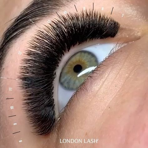 London Lash Pro, Dolly Lashes, Lash Mapping, Lash Extension Supplies, C Curl, Lash Extension, Eyelash Extension, Lash Extensions, If You Love