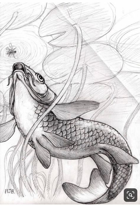 Koi Carp Drawing, Carp Drawing, Underwater Design, Underwater Drawing, Koi Fish Drawing, Koi Art, Koi Fish Tattoo, Carpe Koi, Koi Carp