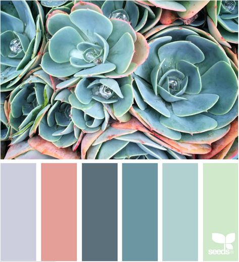 Seeds Color, Palette Design, Bathroom Themes, Bedroom Color Schemes, Design Seeds, Color Palette Design, Bedroom Aesthetic, Art Furniture, Colour Schemes