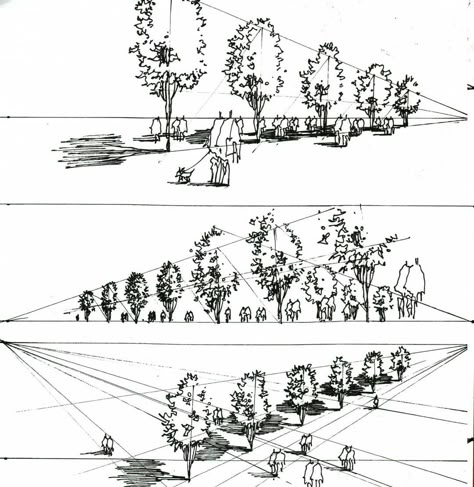 How To Draw Trees, Bio Architecture, Landscape Drawing Tutorial, Draw Trees, Perspective Sketch, Landscape Design Drawings, Learn To Sketch, Perspective Drawing Architecture, Perspective Drawing Lessons