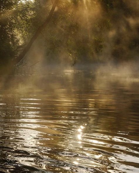 He woke up in the middle of the forest, with his hair damp from the morning dew. It was cold, but then some flashes began to flood everything with a golden light. #destellosdeluz #goldenlights #feverdreamcore #celestialjewelry #forestjewelry #lagrimadeunicornio #mysticalphotography #naturejewelry #sacredjewelry Cabeswater Aesthetic, Tuck Everlasting Aesthetic, Tuck Everlasting, Morning Dew, Golden Light, Golden Lights, Nature Aesthetic, Pretty Places, Izuku Midoriya