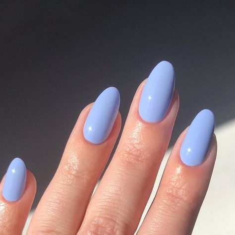 𝐒𝐀𝐑𝐀𝐇 | Nail Design & Inspiration on Instagram: "My favorite all season blue 🏄🏼‍♀️  [Purchased/ Ambassador]  This shade is so pretty in every lighting. In low light it’s a gorgeous dusty cornflower blue and in the sunlight it becomes more of a vibrant light blue but still maintains that dusty blue quality. I just eat this shade up! I always wear this in the summer because it screams nautical to me especially if you pair it with Kokomo, Guava, and Deep Sea.   My code sedjames will help you save on your sevenseas orders!  All polishes now come with the deluxe wide brush!   Polish: @sevenseasbeautiful Surf’s Up  . . . . #nails #bluenails #nailinspiration  #nailtrends #nailartist #nailsoftheday #nailpolish #summernails #summernailinspo #summerfun #summer" Cornflour Blue Nails, Cornflower Blue Nails, Up Nails, True Summer, Claw Nails, Just Eat, Nail Design Inspiration, Light Summer, Cornflower Blue