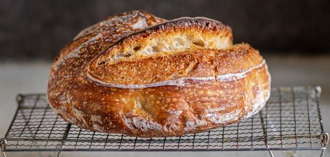 Sourdough Bread Ideas, Baker Gift Ideas, Simple Sourdough Bread, Simple Sourdough, Bread Ideas, Grilled Corn Salad, Ideas For Breakfast, Sourdough Starter Recipe, Tuna Melts