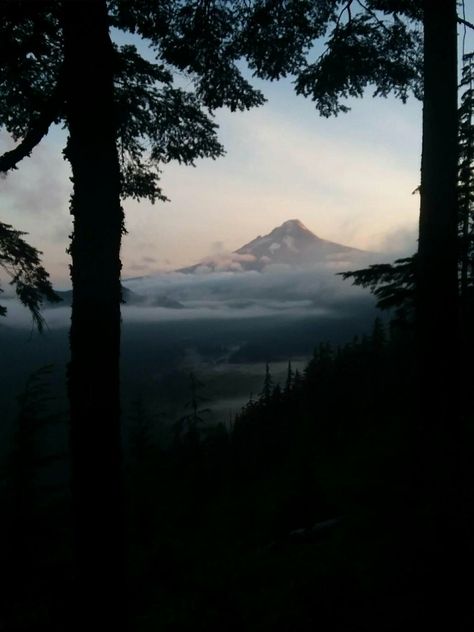 Mt Hood Oregon Mt Hood Oregon, Amazing Landscapes, Mt Hood, Oregon Usa, Photography Travel, Nature Beautiful, Beautiful Scenery, Amazing Places, Early Morning