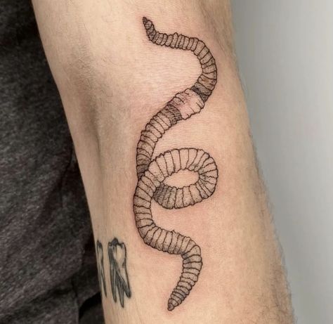 Cartoon Bug Tattoo, Grub Tattoo, Fuzzy Caterpillar Tattoo, Earth Worm Tattoo, Inchworm Tattoo, Stick Bug Tattoo, Maggot Tattoo, Earthworm Tattoo, Parasite Tattoo