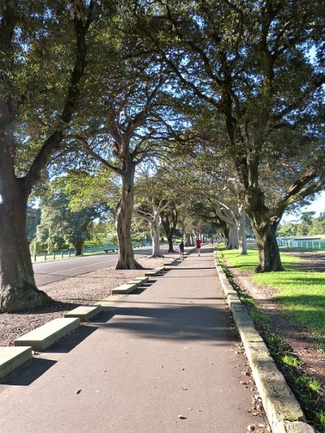 Centennial Park loop - one of the best Sydney walks Centennial Park Sydney, Sydney Travel Guide, Sydney Photography, Sydney Beaches, Sydney Travel, Rose Bay, Sydney City, Centennial Park, Quiet Beach