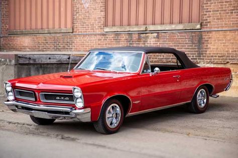 The 7 Best Years for the Pontiac GTO: 1965 2006 Gto, Pontiac Logo, 1969 Ford Torino, 1965 Gto, Ford Torino Gt, 2006 Pontiac Gto, Buick Wildcat, 1966 Gto, 1965 Pontiac Gto