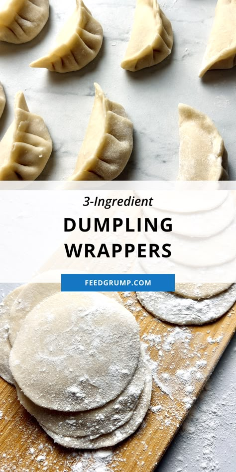 dumpling wrappers and folded dumplings Gyoza Recipe Wrappers, Pot Sticker Wrapper Recipe, Easy Dumpling Wrapper Recipe, Gyoza Dough Recipe, Dumpling Wrappers Recipe, Homemade Gyoza Recipe, Pan Fried Dumplings Recipe, Stuffed Dumplings Recipe, Ground Beef Dumplings