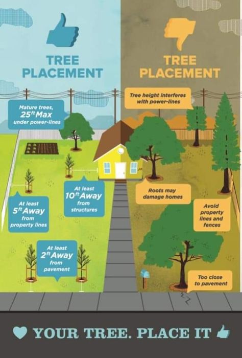 Lawn Design Ideas, Tree Placement, Front Yard Design Ideas, Garden Home Ideas, Yard Design Ideas, Yard Landscape Ideas, Garden Front Yard, Front Yard Landscape, Lawn Design