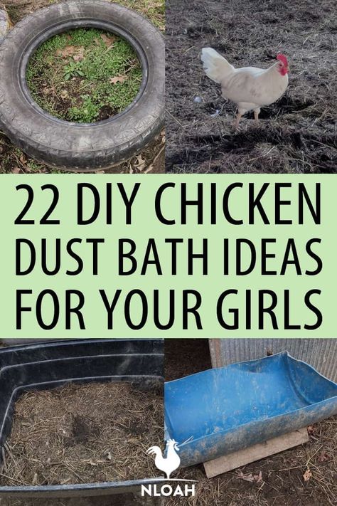 Chicken dust baths are essential to your flocks' health. We have over 20 ideas on how to make one that is dirt-cheap. #chickens #poultry #livestock #homesteading Dust Baths For Chickens Ideas, How To Make Dust Bath For Chickens, How To Make A Dust Bath For Chickens, Dirt Bath For Chickens, Diy Chicken Bath, Chicken Bath Dust, Chicken Toys Diy, Chicken Dirt Bath, Chicken Playground Ideas Diy