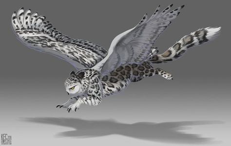 Snow Leopard Owl Griffin, Owl Gryphon, Snow Owl Art, Griffon Art, Snowy Owl Art, Creature Fantasy, Snow Owl, Post Animal, Mythical Animal