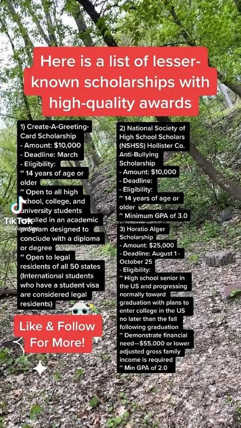 High School Scholarships, Scholarships For College Students, College Apps, School Scholarship, College Student Hacks, School Study Ideas, Student Scholarships, College Life Hacks, High School Life Hacks