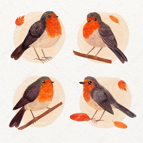 Premium Vector | Watercolor painted robin collection Robin Illustration, Winter Display, Bird Template, Winter Bird, Pencil And Paper, Autumn Forest, Wildlife Animals, Cute Birds, Small Birds