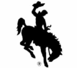 Wyoming State Bucking Horse and Rider: (BH&R) Wyoming Tattoo Ideas, Wyoming Tattoo, Horse Stencils, Laramie Project, Cricut Stencil, Horse Stencil, Handmade Leather Work, Bucking Horse, Fork In The Road