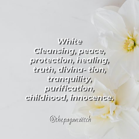 White in spellcrafting! Pagan Definition, Destroy Witchcraft Prayer, Pagan Parenting, Witches Den, Pagan Affirmations, Practicing Paganism, A Safe Place, Pagan Witch, The Witches