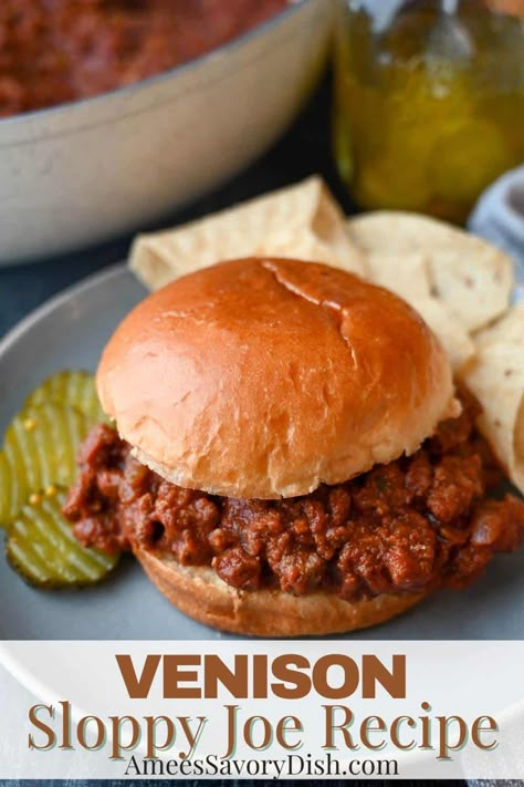 Ground Venison Recipes, Chicken Sloppy Joes, Sloppy Joe Recipe Easy, Homemade Sloppy Joe Recipe, Turkey Sloppy Joes, Sloppy Joes Sandwich, Sloppy Joe Recipe, Sloppy Joes Easy, Deer Recipes