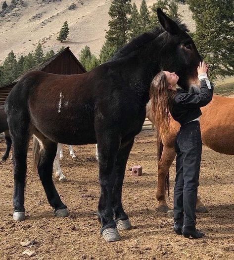 Looks Country, Cowgirl Aesthetic, Shotting Photo, Horse Aesthetic, Dude Ranch, Western Aesthetic, Horse Ranch, Ranch Life, Horse Life