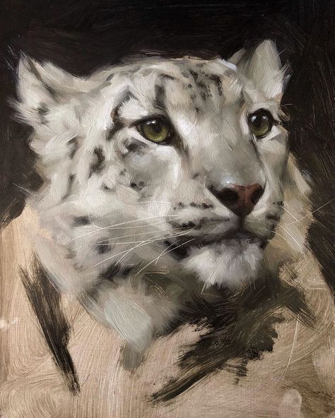 Started this lovely snow leopard today. It's a challenge to paint white and get the sense of fluffy soft fur, but it's SO rewarding when… Fur Painting, Snow Leopard Drawing, Fantasy Snow Leopard Art, Snow Leopard Watercolor, Jennifer Gennari, Animals In Snow Painting, White Tiger Painting Acrylics, Snow Leopard Painting, Snow Leopard Art