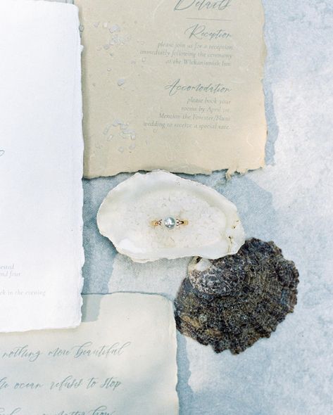 We’ve been FEATURED on @bajanwed ✨ This wedding editorial shoot on the beaches of Tofino captured an ethereal coastal elegance, with the bride adorned in a flowing blue dress that mirrored the ocean’s serene hues. The reception setup was a testament to seaside sophistication, featuring oyster place cards that added a touch of marine charm. Discover more from this shoot by visiting the 🔗 in our bio! Planning, Design & Floral Artistry @whitehavenweddings Photography @_mintedphotography_ Ha... Beach Wedding Setup, Coastal Cowboy, Beach Table, Ocean Wedding, Cowboy Wedding, Coastal Elegance, Editorial Shoot, Wedding Set Up, Coastal Wedding