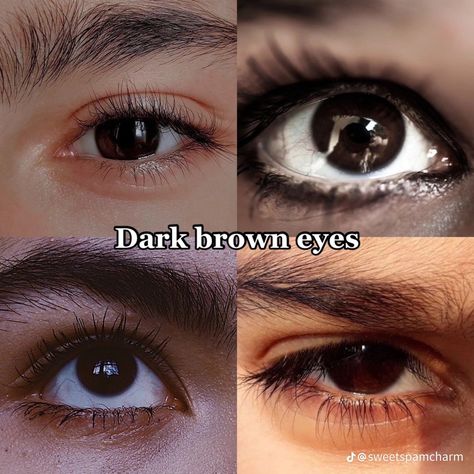 Pretty Eyes Color, Brown Eyes Aesthetic, Mesmerizing Eyes, Eye Color Chart, Beautiful Eyes Color, Pretty Brown Eyes, Dark Brown Eyes, Aesthetic Eyes, Gorgeous Eyes