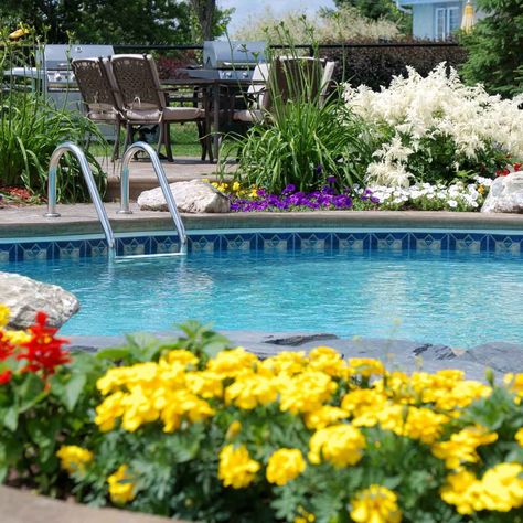 Best Landscaping Plants for Around a Pool Plants Around Pool, Landscaping Around Pool, Tropical Pool Landscaping, Backyard Flowers Beds, Tropical Backyard Landscaping, Pool Plants, Inground Pool Landscaping, Small Backyards, Swimming Pool Landscaping