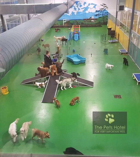 Dog Boarding Facility Ideas, Pets Hotel, Dog Daycare Design, Dog Boarding Ideas, Dog Daycare Business, Hotel Pet, Indoor Dog Park, Pet Daycare, Dog Boarding Facility