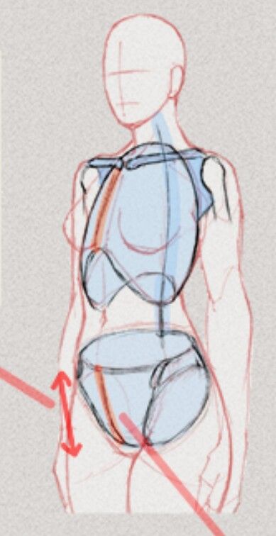 Women Chest Drawing Reference, Waist Art Reference, Torso Drawing Reference Female, Anime Female Anatomy Drawing, How To Draw Shoulders Female, Draw Torso Female, How To Draw Torso Female, Anime Body Proportions, Bust Up Reference