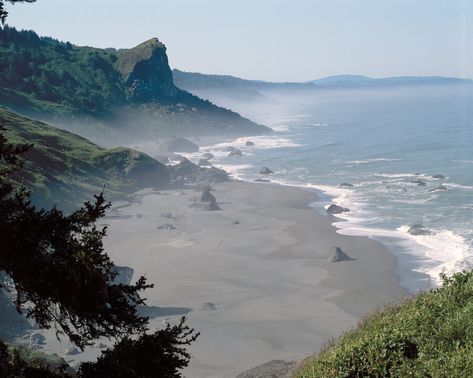 Lost Coast of CA, near Ferndale Lost Coast California, Red Wood Forest, Victorian Village, Wood Forest, Redwood National Park, Humboldt County, Forest Adventure, Redwood Forest, Red Wood