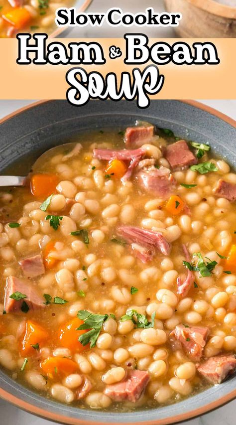 Learn how to make a delicious and hearty crockpot ham and bean soup with this easy recipe. You'll dive into a bowl of homemade goodness with this perfect comfort food for a cozy night in. An easy slow cooker soup recipe and great use of leftover ham. Navy Beans And Ham, Bean Soup Crockpot, Crockpot Ham And Beans, Cookbook Binder, Leftover Easter Ham, Homemade French Onion Soup, Fiber Recipes, Ham And Bean, Lamb Stew Recipes