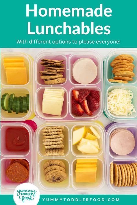 Homemade Lunchables Homemade Lunchable Ideas, Kids Lunchable Ideas, Homemade Lunchables Kids, Homemade Lunchables, Kids Lunch Ideas, Easy Lunches For Kids, Kids Lunch Box Meals, Preschool Lunch, Zoo Trip