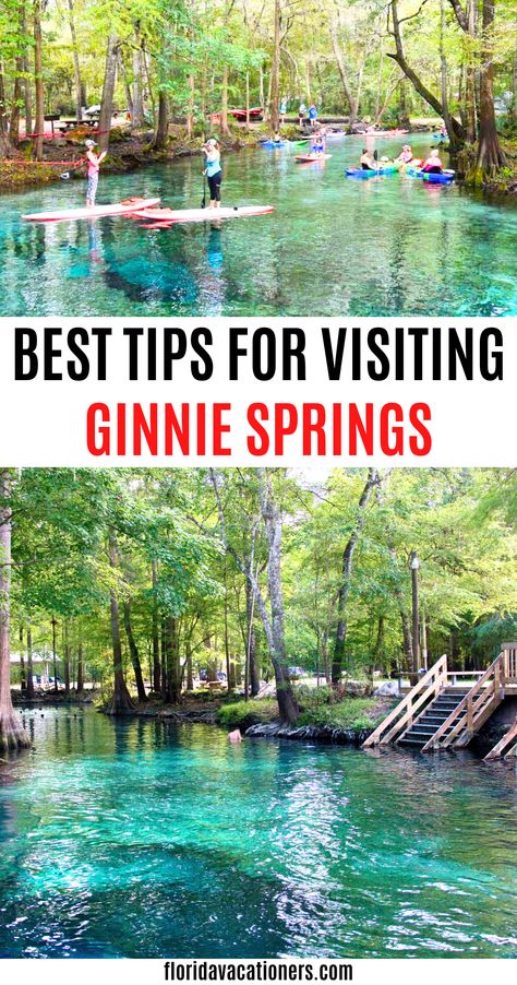 Ginnie Springs Florida - everything you need to know about visiting one of the best springs in Florida| Florida springs photography | Ginnie Springs Florida instagram | Ginnie Springs Florida tips including camping | Ginnie Springs Florida tubing | Ginnie Springs Florida map | Ginnie Springs Florida manatees | Ginnie Springs Florida what to bring | Ginnie Springs Florida summer | Ginnie Springs Florida pictures | Ginnie Springs Florida travel | #GinnieSprings #florida #floridatips Ginnie Springs Florida, Natural Springs In Florida, Florida Manatees, Springs In Florida, Ginnie Springs, Florida Pictures, Florida Attractions, Florida Parks, Florida Map