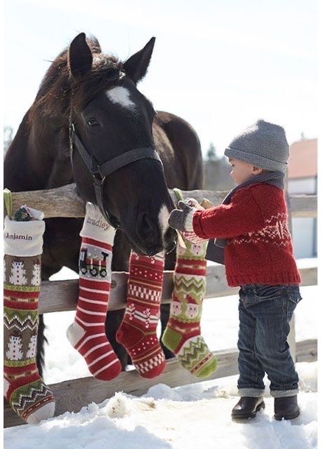 Christmas Pictures Kids, Christmas On The Farm, Pictures With Horses, Winter Horse, Christmas Horse, Christmas Country, Christmas Horses, Christmas Farm, Farm House Colors