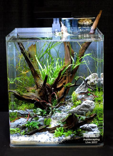 Fish Aquarium Decorations, Fish Tank Themes, Fish Tank Terrarium, Cool Fish Tanks, Aquascape Design, Betta Aquarium, Fish Tank Design, Tropical Fish Tanks, Fresh Water Fish Tank