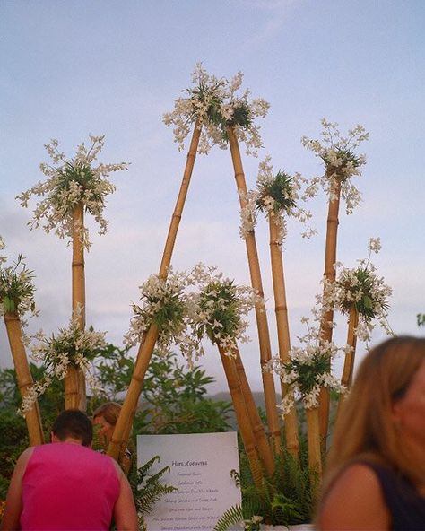 Tropical Wedding Theme, Diy Wedding Arch, Deco Champetre, Bamboo Decor, Wedding Backdrop Design, Outdoor Wedding Decorations, Wedding Stage, Backdrop Decorations, Dress Inspiration