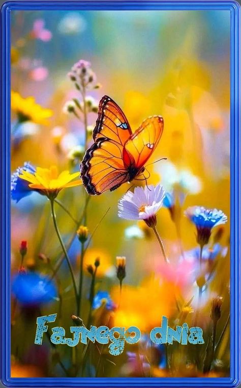 Flower Meadow Aesthetic, Butterfly In Nature, Butterflies On Flowers, Field Of Butterflies, Meadow Aesthetic, Paint Calendar, Wildflowers Aesthetic, Butterflies Aesthetic, Wildflowers And Butterflies