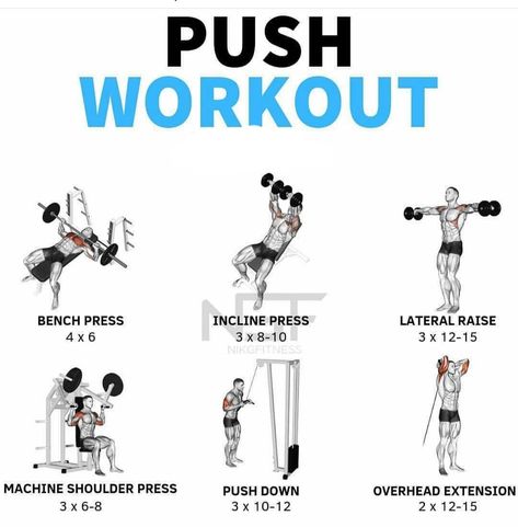 Push Day Beginner, Ppl Workout Routine Men, Push Pull Workout Routine, Push Pull Legs Workout, Push Day Workout, Pull Workout, Push Pull Workout, Pull Day Workout, Workout Gym Routine