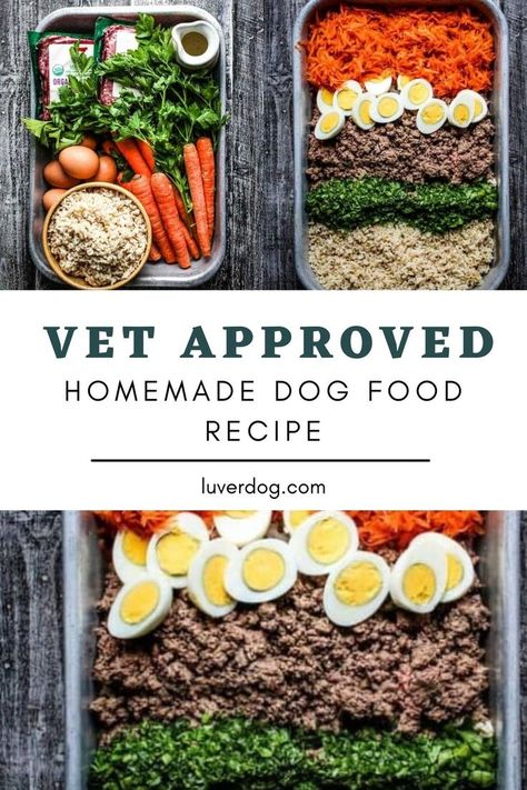 Vet approved homemade dog food recipe Diy Grain Free Dog Food, Homestead Dog Food, Nutritional Homemade Dog Food, Homemade Dehydrated Dog Food, Diy Natural Dog Food, Homemade Dog Food Recipes Sensitive Stomach, Homemade Pet Food Dogs, Puppy Dog Food Recipes, Make Dog Food Homemade