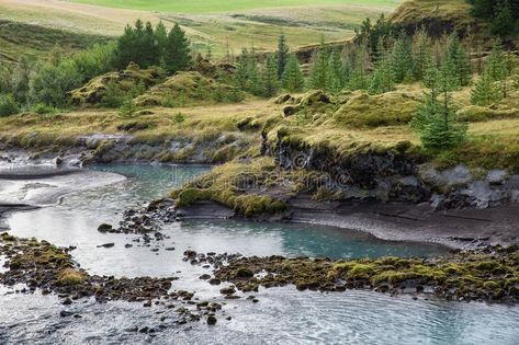 The river bank with green slopes and trees on it. Picture taken in Iceland , #Sponsored, #green, #bank, #river, #slopes, #Iceland #ad River Restoration, Camping Cake, Green Bank, Theatrical Scenery, River Bank, Water Bodies, Great Photographers, Instagram Logo, Nature Images