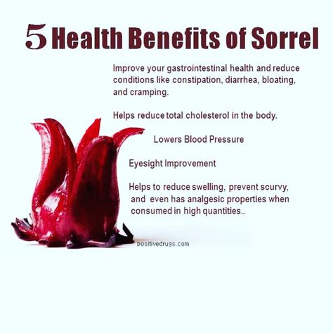 Benefits Of Sorrel, Eye Sight Improvement, Lower Blood Pressure, Blood Pressure, Immune System, Health Benefits, Cork, Improve Yourself, Benefits