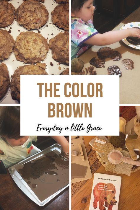 Tot School / Week 13: The Color Brown 🐻 – Everyday a Little Grace Color Activities For Toddlers, Preschool Color Activities, Brown Bear Brown Bear, Potato Stamp, Browns Game, Purple Crayon, Brown Baskets, Preschool Colors, Orange Fish