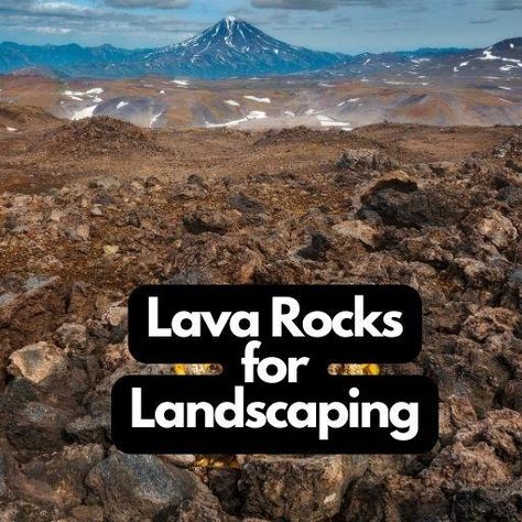 Best Lava Rocks for Landscaping - Enhance Your Outdoor Oasis! Red Lava Rock Landscaping Ideas, Rocks For Landscaping, Rock Pathway, Boost Curb Appeal, Drought Resistant Plants, Weed Barrier, Rock Garden Design, Organic Mulch, Rock Types