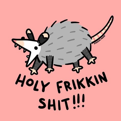 Opossum Craft, Possum Doodle, Possum Cartoon, Cartoon Possum, Opossum Drawing, Possum Drawing, Possum Art, Opossum Art, Possum Funny