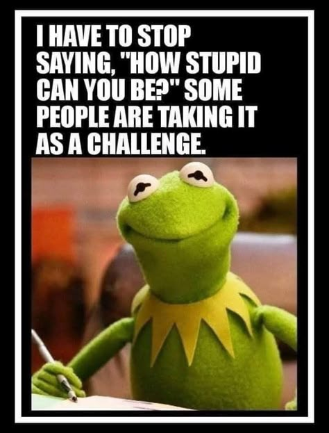 Vintage Funny Quotes, Kermit Funny, Funny Day Quotes, Funny Words To Say, Weird Quotes Funny, Funny Quotes Sarcasm, Funny Jokes For Adults, Funny Cartoon Quotes, Sarcastic Quotes Funny