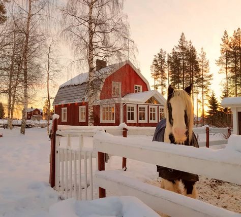 Helena on Instagram: “My little red house that has grown a bit bigger and my loved horse ♥️ One week until Christmas...I love the days before, with all…” Swedish Houses, Sweden House, Red Farmhouse, Swedish House, Red House, Barn Style, Scandinavian Home, Country Farmhouse, Country Life