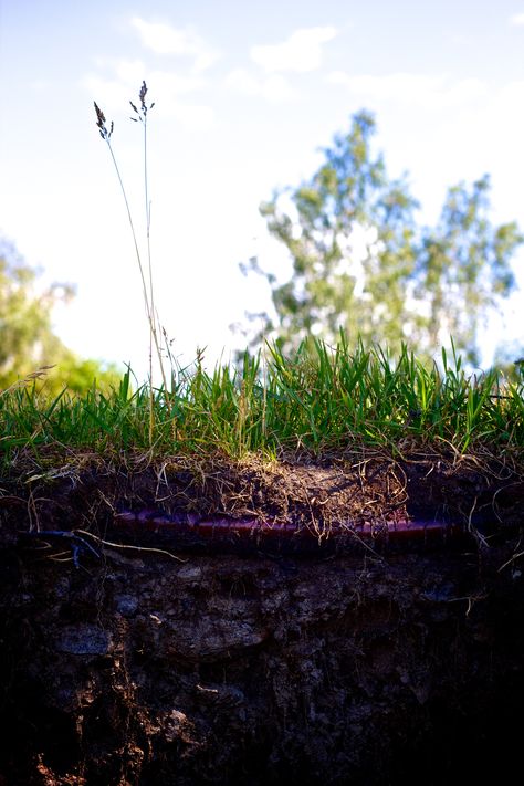 Cut Out Soil. #nature #grass #earth #photography #vaasa Earth Soil Aesthetic, Soil Photography, Tarot Suits, Earth Photography, Italian Country, English Tudor, Pentacles, Soil Layers, Tarot Card Meanings